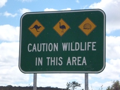 オーストラリア　動物注意の標識